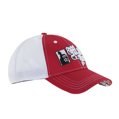 Pre Curva de la malla de la cima del camión Caps 3D bordado Caps de béisbol 4 paneles