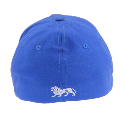 Capuchones de béisbol con bordado de 6 paneles azules, sombrero de béisbol al aire libre para hombres y mujeres para otoño e invierno