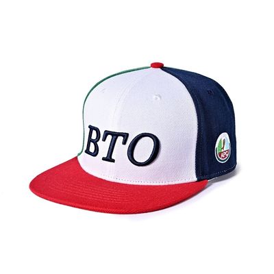 ODM plano del OEM del logotipo del bordado de Hip Hop Bill Gorras Snapback Hats Custom
